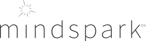 MindSpark Logo